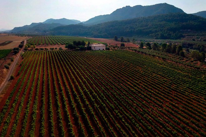 Clos Cor Ví tweet media