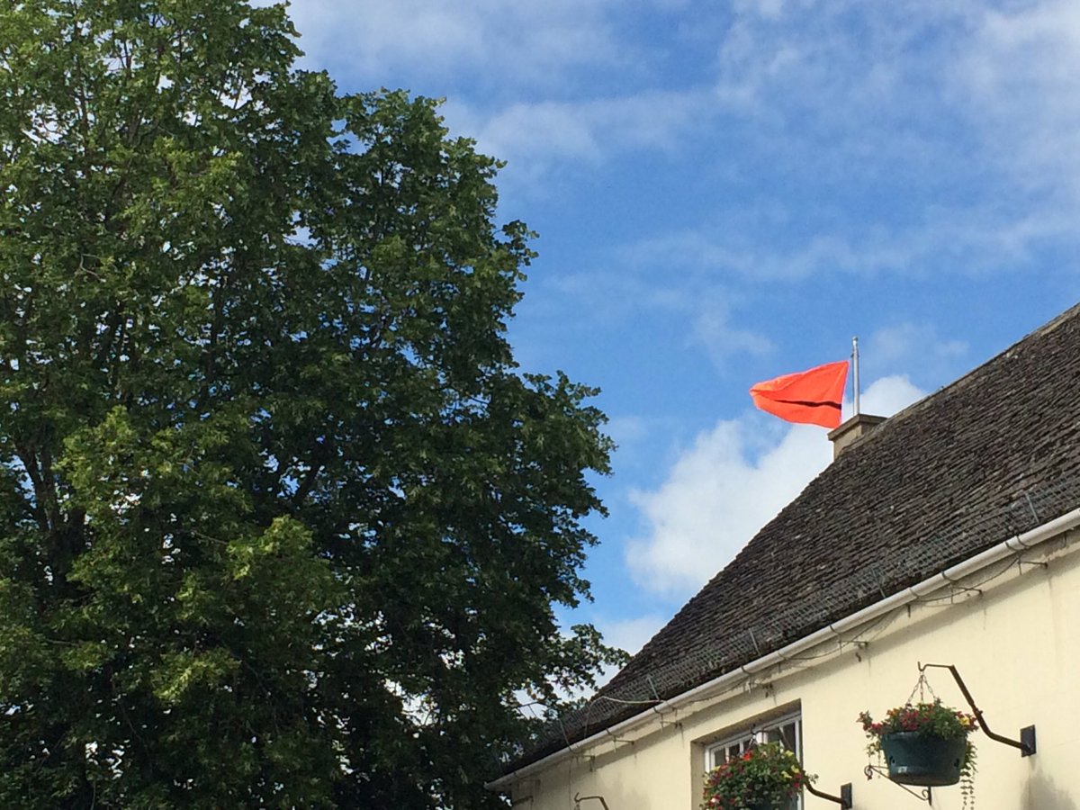 Owen Collins tweet media