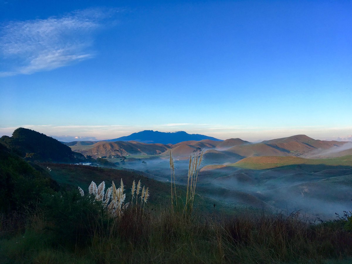 NeuseelandReise's tweet photo. Früh am Morgen in der Waikato Gegend #NewZealand #waikato #raglan #NZfG https://t.co/p2456OxPTz
