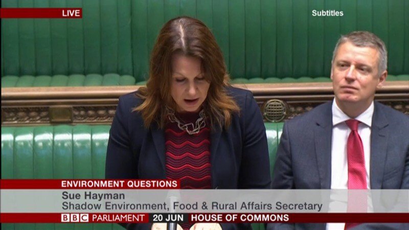 LabourDefra's tweet photo. Tree planting is extremely important in tackling the environment and climate emergency.

@SueHayman1 asks what the Minister is doing about the fact that they are missing their own targets by 71%.

#DefraQs #ClimateEmergency https://t.co/0nqYomqF0H