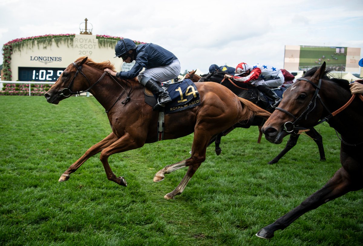 NavanRacecourse's tweet image. You can&apos;t beat #NavanForm

Southern Hills (2nd here last time behind Air Force Jet) powered home to take the Windsor Castle Stakes yesterday for Ryan Moore &amp;amp; Aidan O&apos;Brien.

A nice frank of the form for Air Force Jet who lines up in the Group 2 Norfolk Stakes today. #RoyalAscot