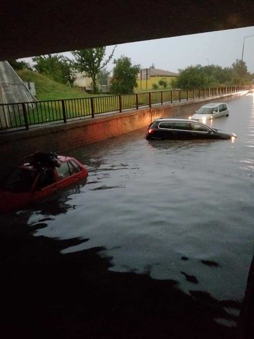 View image on Twitter