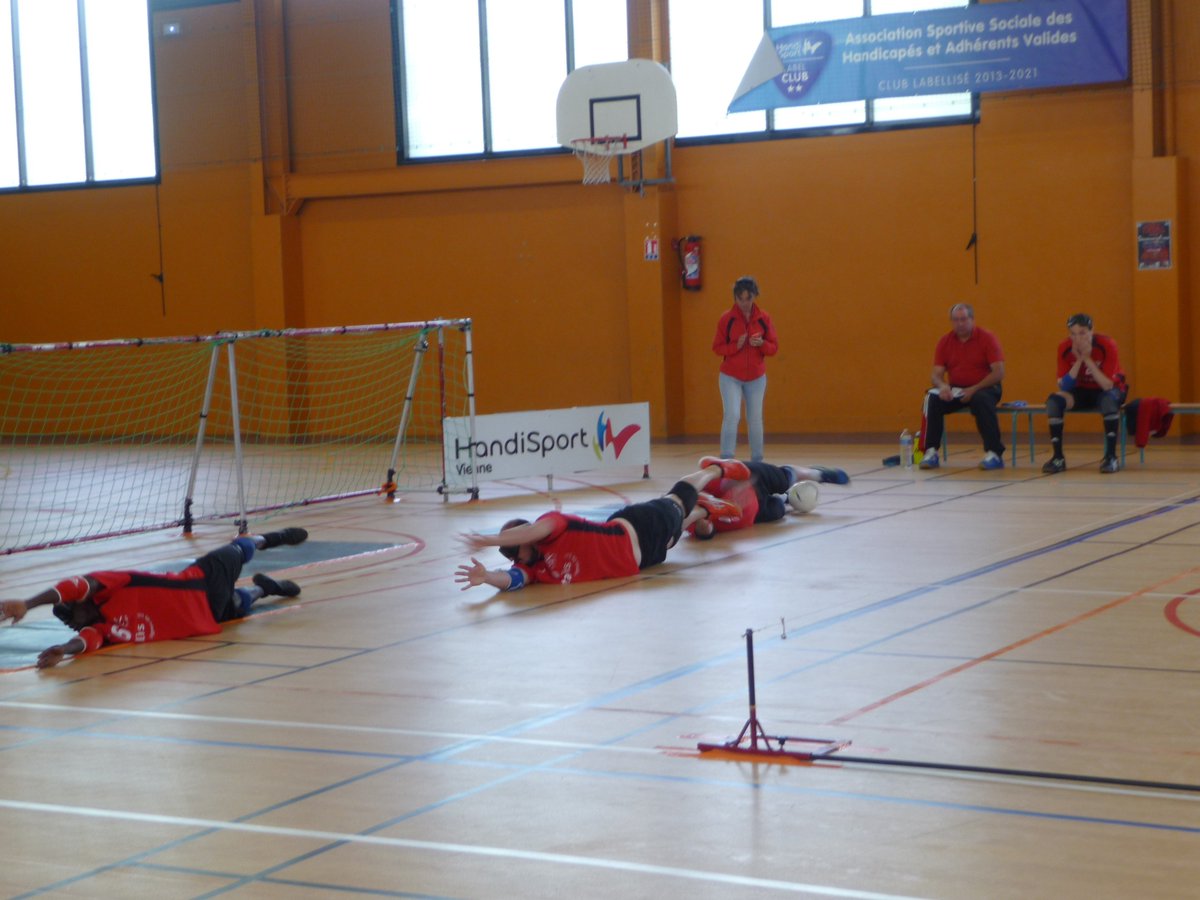 ASSHAV86's tweet photo. Championnat de France de TORBALL Masculin division 2
Bravo à l'équipe de ASSHAV Poitiers qui retourne en division 1. https://t.co/nLK9MSHI0y