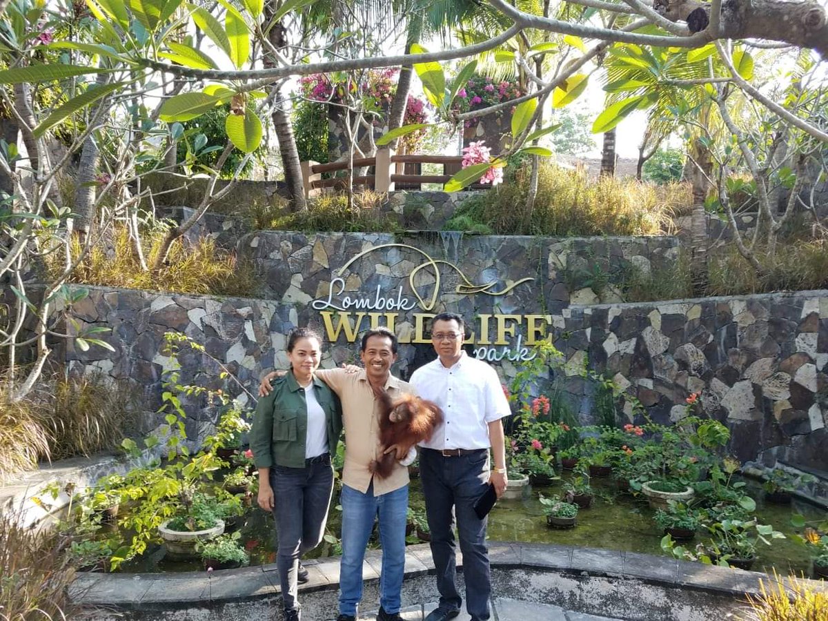 bangzul_ntb's tweet photo. Ayo berkunjung ke Kebun Binatang kita di Lombok Utara...NTB bukan hanya Pantai dan Gunung...Semuanya ada di sini... https://t.co/0lX4fh9Ldp