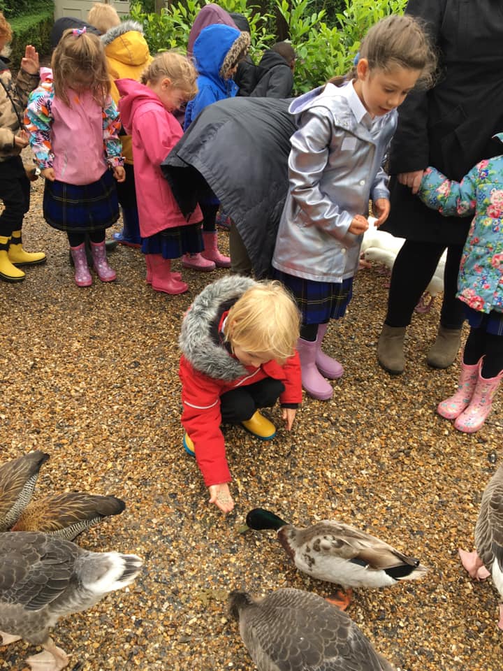 CharlesDarwinPrimary tweet media