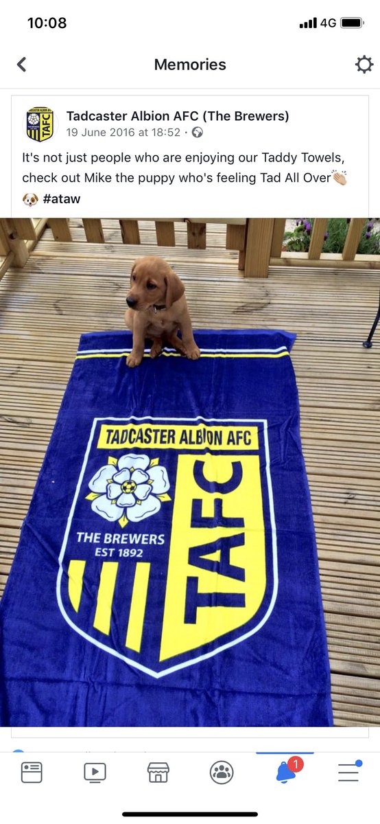 Mike the dog is still Tad all over <a href="/TadcasterAlbion/">Tadcaster Albion</a> <a href="/JayTaylor991/">Jay Taylor</a>