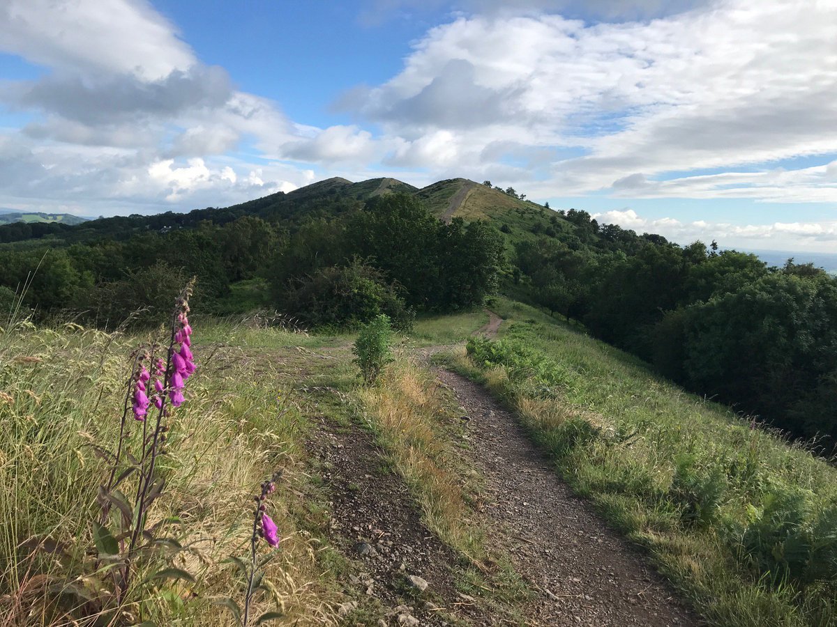 allabout3mags's tweet photo. After the blue colours in Spring, Summer pink has now appeared on #TheMalvernHills.
#WorcestershireHour
@TheMalvernsTIC @MHAONB @ChalkMalvern https://t.co/jBPCVwk8mN