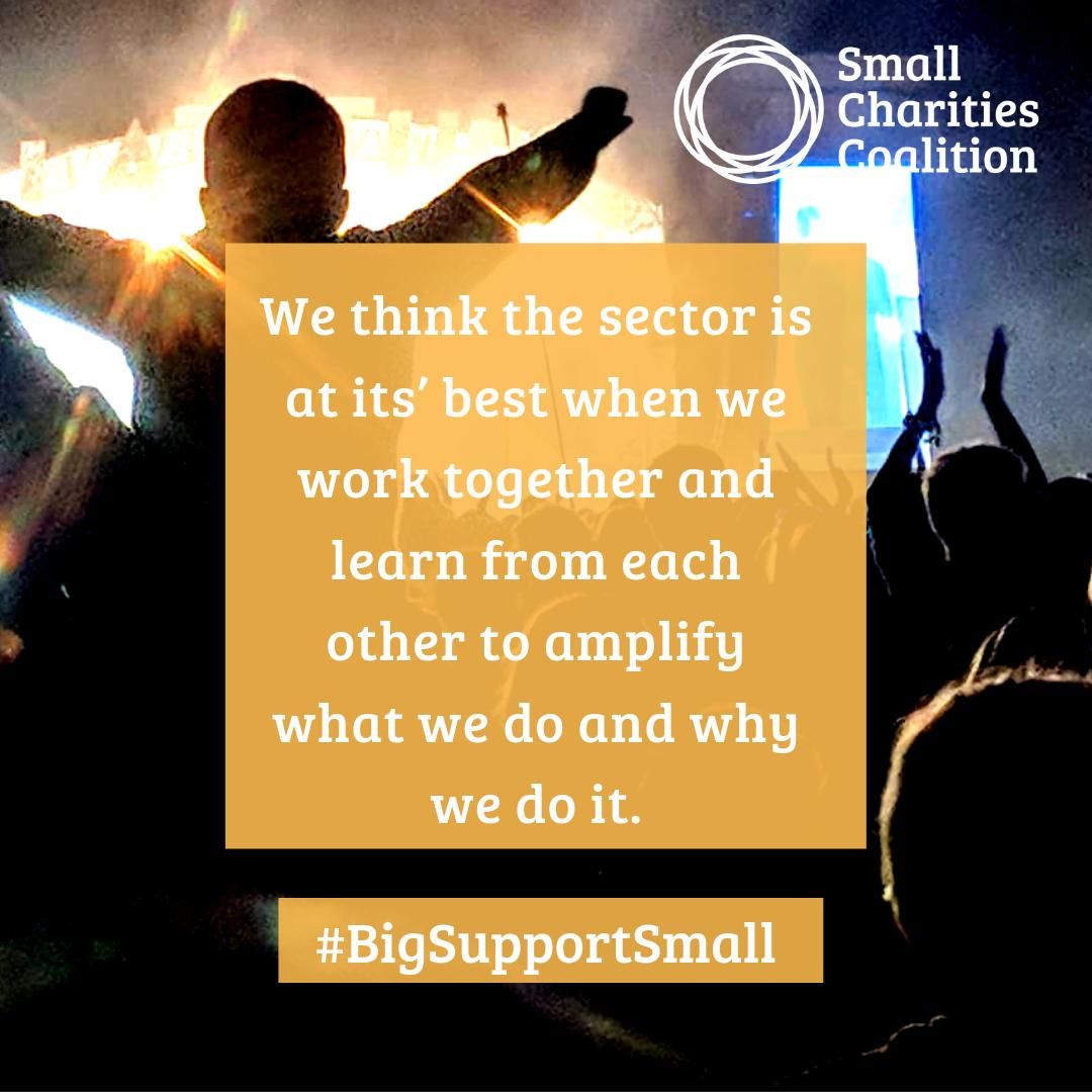 NVTweeting's tweet image. This #SmallCharityWeek, we're encouraging all our large member organisations to get involved with @sccoalition #BigSupportSmall campaign. Check the hashtag for ways you can get involved! 🎊