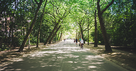 ebm e-bikemanufaktur tweet media