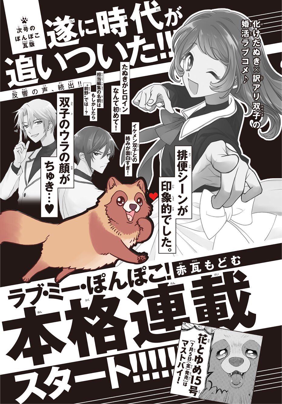 花とゆめ編集部 号発売中 ラブ ミー ぽんぽこ そして お待たせしました 赤瓦もどむ先生の最新作 ラブ ミー ぽんぽこ がついに連載化 化けだぬきがヒロインの 少女マンガです 巻頭カラーつきの初回を お見逃し