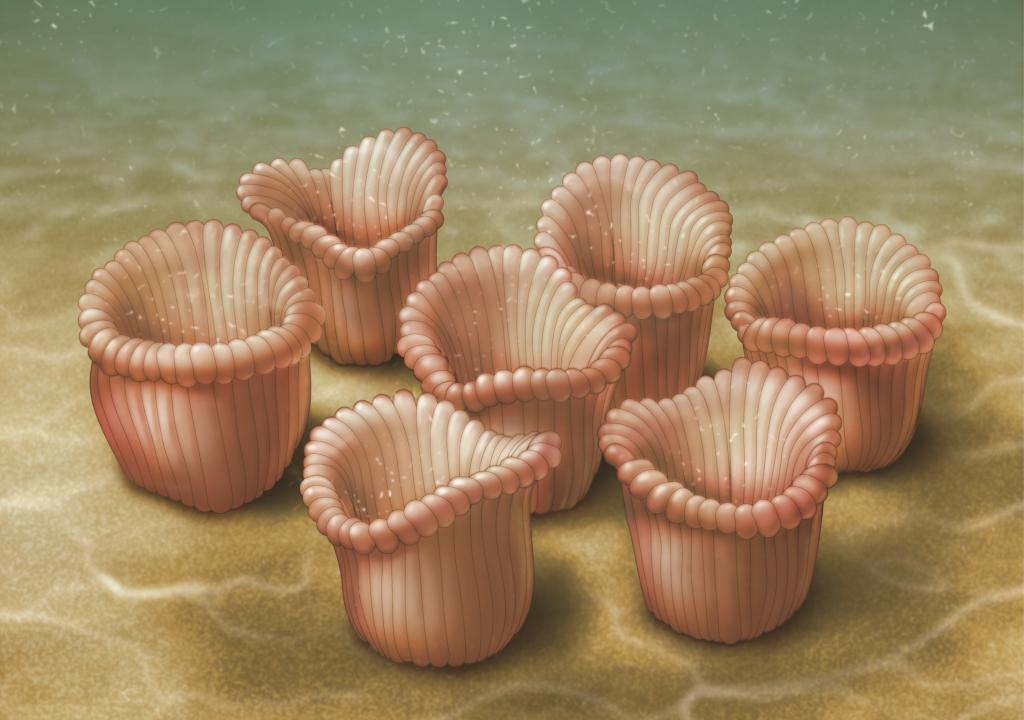 Oxford University Museum of Natural History (@morethanadodo) on Twitter photo New paper co-authored by Museum researcher <a href="/VirtualPalaeo/">Imran Rahman</a> using computer simulations to uncover the benefits of group living in a 548-million-year-old sack-like fossil, out now in <a href="/ScienceAdvances/">Science Advances</a> advances.sciencemag.org/content/5/6/ea… (art by Dave Mazierski) New paper co-authored by Museum researcher <a href="/VirtualPalaeo/">Imran Rahman</a> using computer simulations to uncover the benefits of group living in a 548-million-year-old sack-like fossil, out now in <a href="/ScienceAdvances/">Science Advances</a> advances.sciencemag.org/content/5/6/ea… (art by Dave Mazierski)