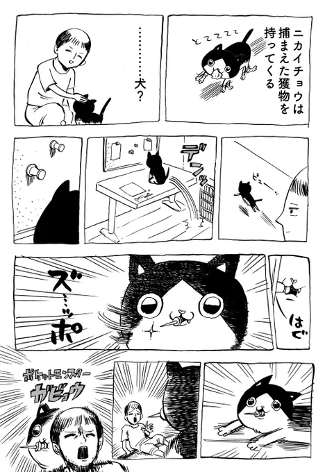 作業部屋のコルクボードから画鋲引っこ抜くようになったので出禁になりました 