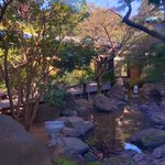 ツイートに含まれる画像