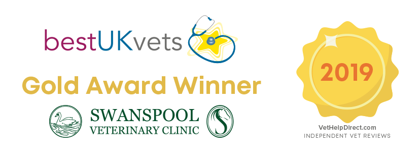 NHTMAGAZINE's tweet photo. Read the latest article from Swanspool Equine &amp; Farm Vets - Voted Best UK Vets
'Why Is Your Horse Shaking Their Head?
'See article in full on page  of the spring issue
https://t.co/gRIGQ8dhf7 https://t.co/xpVAYSEujx