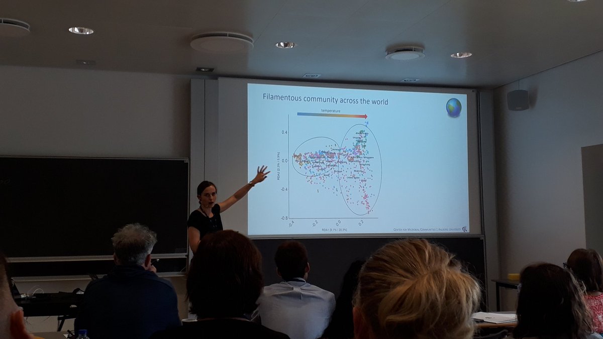 midasguide's tweet photo. Community of filamentous bacteria, the potential problem child of #WWTP causing foaming, is effected by temperature! @MartaNierychlo at the global #midasguide workshop https://t.co/Q5EuxNCWHu