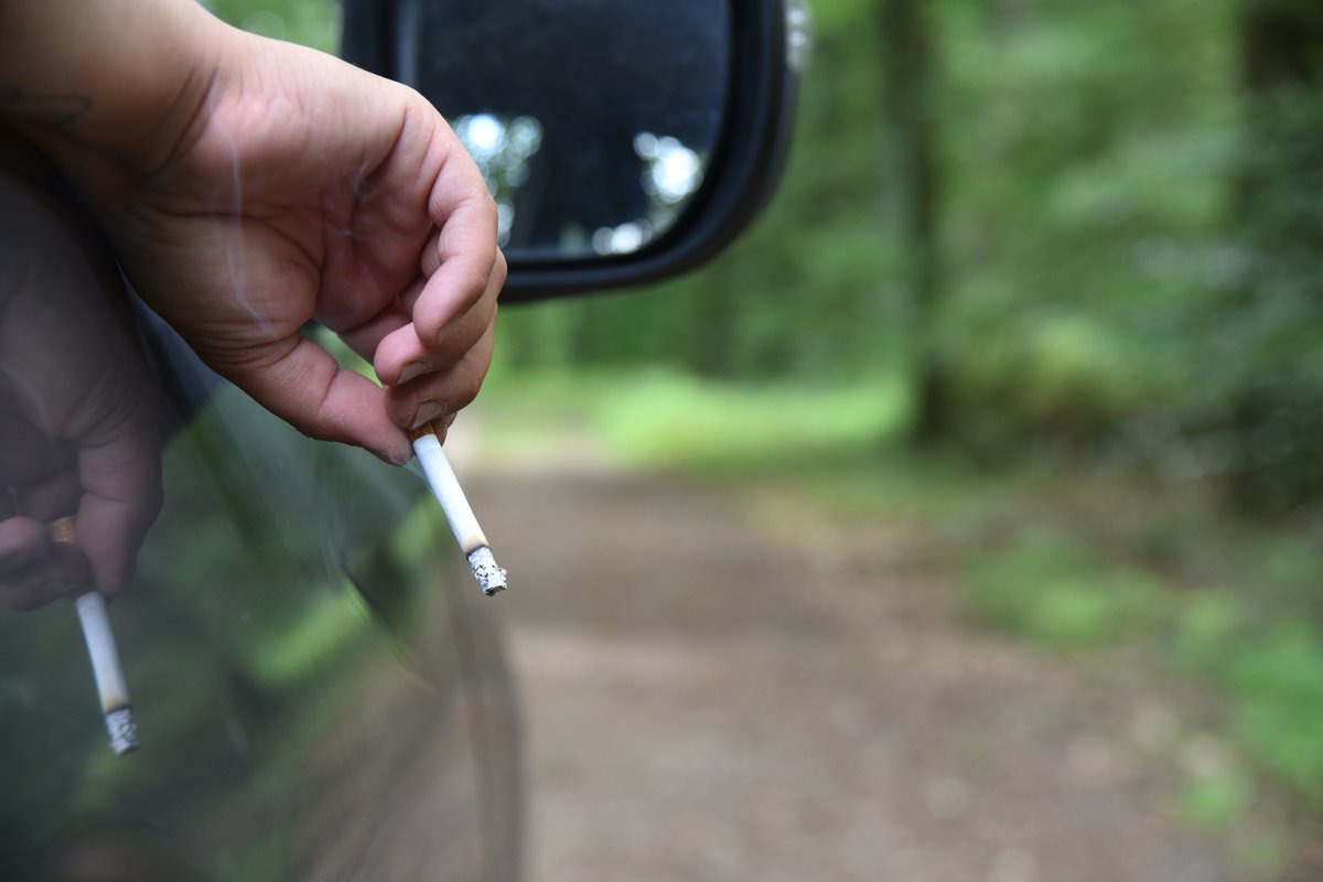 Achtung: Waldbrandgefahr! Achtlos entsorgte Zigarettenstummel, Grill- und Lagerfeuer oder heiße Katalysatoren von geparkten Autos können leicht ein Großfeuer entfachen. Der DJV mahnt Waldbesucher zur Achtsamkeit. bit.ly/2RobDBj