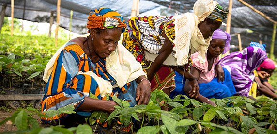 Fragile climate puts food security at risk, UN report!!!!

For more details:

foodchemistry.euroscicon.com

#agriculture #nutrition #nutraceuticals #foodlabelling #FoodSafety #foodsecurity