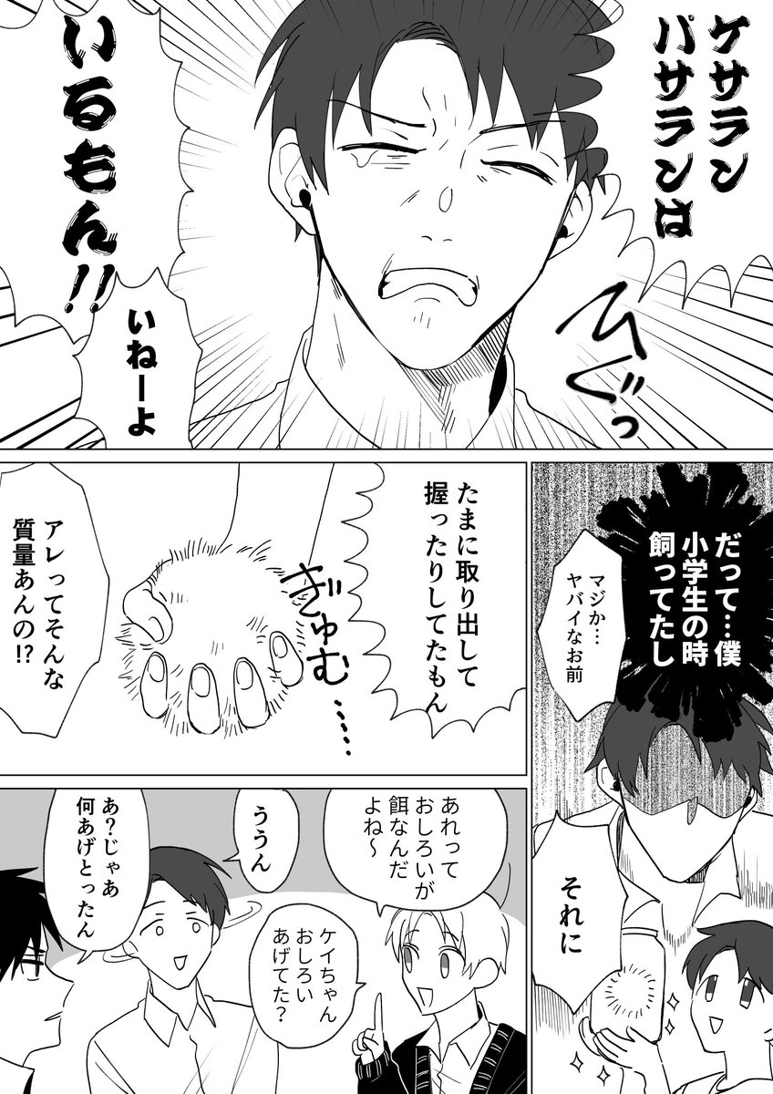 男子高校生とケサランパサラン 