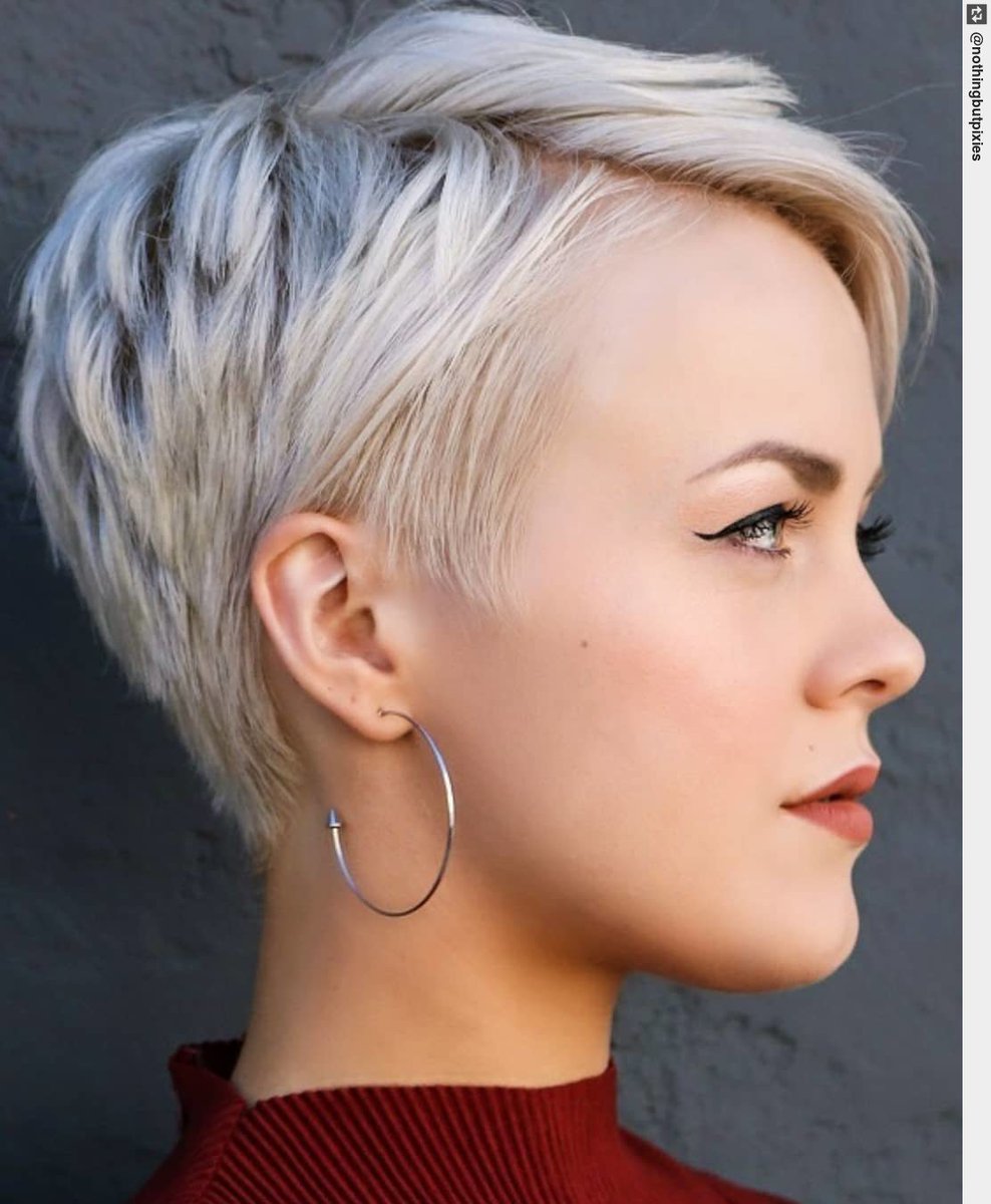 betrendsetters's tweet image. Do you want to see the other three sides??, Yes or Um always #pixie360. . . #dahair tips: goo.gl/qXelCZ #pixie #shorthair