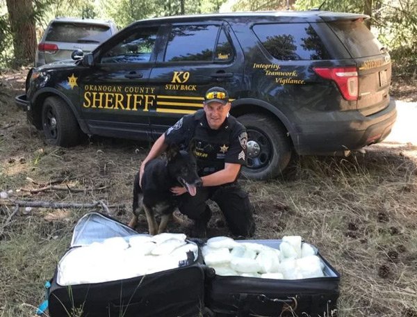 k9copmagazine's tweet photo. Way to go #K9Gunner! K9 helps find suitcases filled w/ 186 lbs of meth
https://t.co/8ppkIPYxKE
#k9leadstheway #k9unit #drugdog #snifferdog #workingdog #k9cop #k9partner https://t.co/tWNqDYXEVg