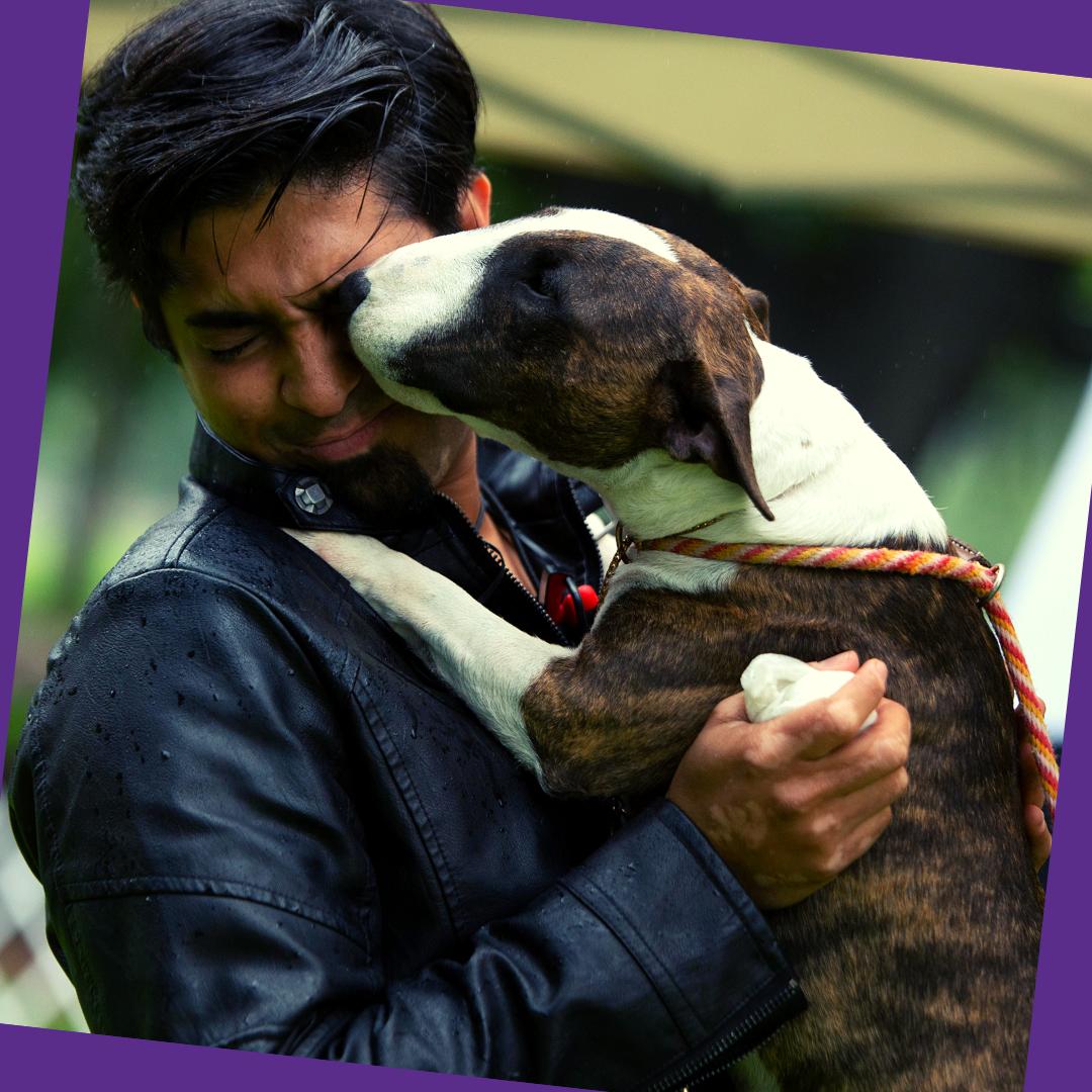 maventracker's tweet photo. Piper fangirling over musician/composer @nipunnairmusic at the #IGotYouMusicVideo shoot. ππΆππ¬
π
π
π
#PetTracker #PetTravel #PetTransport #MusicVideo #MavenPT #MavenTracker #TriumphMiniBulls #MiniBulls #MiniBullTerrier #DogKisses #DogsOfTwitter #FurKids https://t.co/9KgP9DBaRK