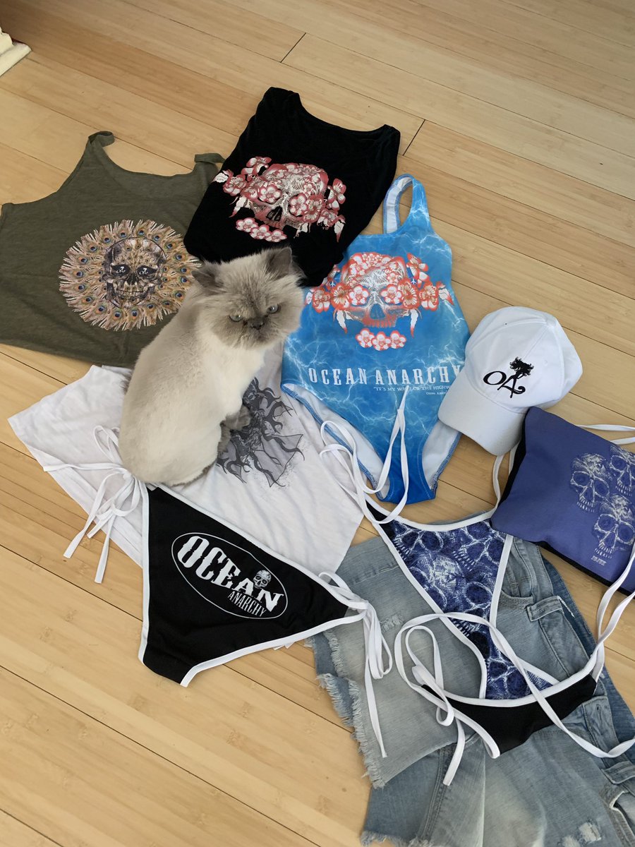 ClevelandChanel's tweet photo. Precious babies helping me my photo shoot! Chanel and Cleveland! Love these two #CatsOnTwitter https://t.co/mjifGlWaEA