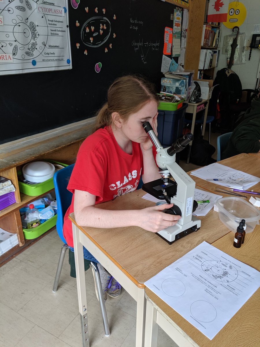 St. Edward Jordan tweet media