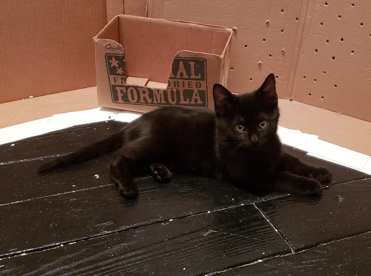 1/21 v. 6/20I'm raising a happy, chonky girl!