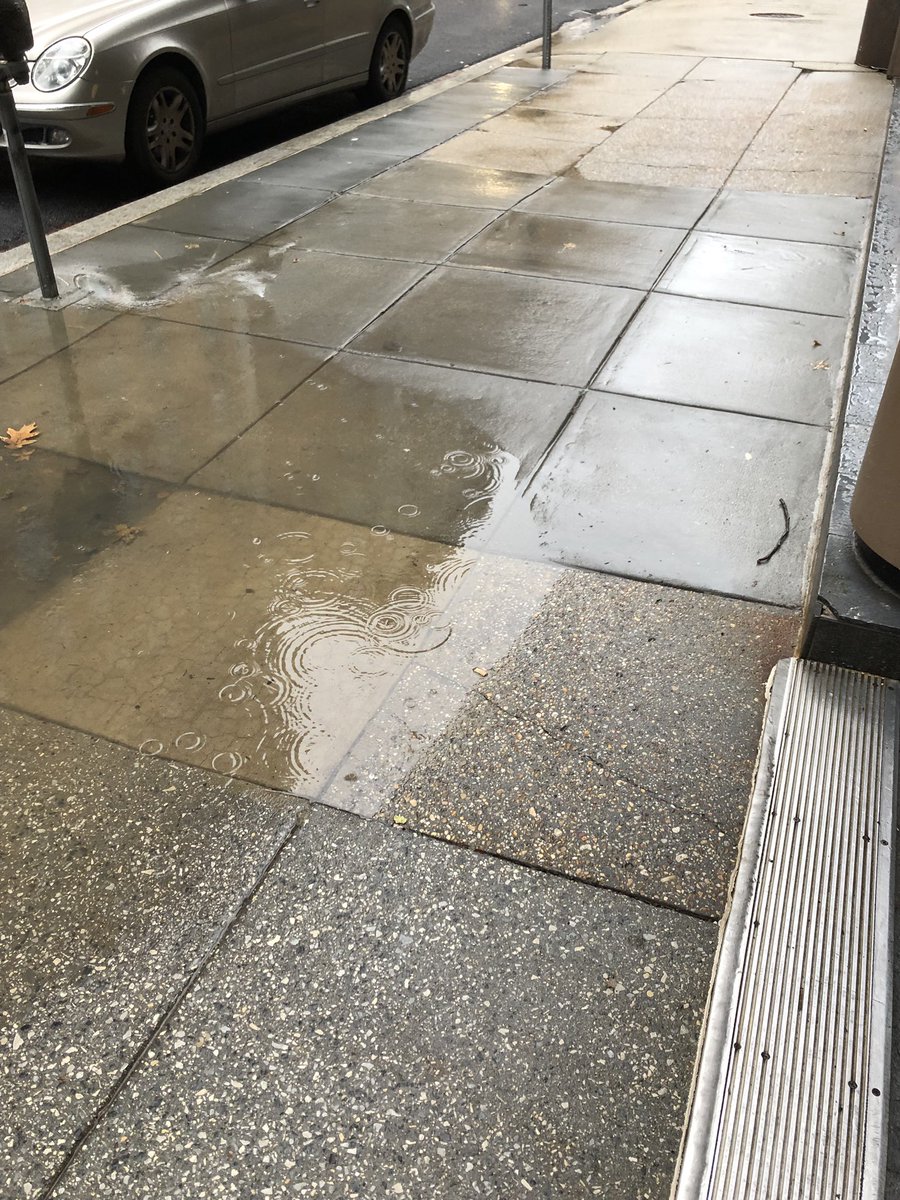 roseptdc's tweet photo. @GoldenTriDC @Ward2Democrats @DOEE_DC @DCDPW Please help! Here are a few pictures of the sidewalk flooding we’ve been struggling with for months. It is not passable and not ADA compliant.                                August 2nd to December 28th https://t.co/uswGFIWOm7