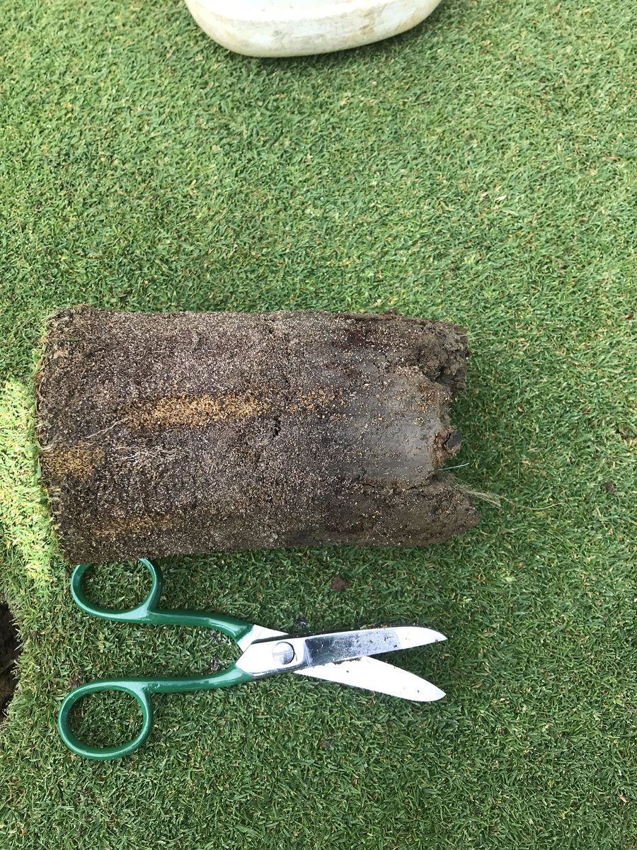 OkeGreenkeepers's tweet image. Holes changed this morning. Great to see roots out the bottom of the hole changer on some greens as well as the sand that has been worked in during our maintenance weeks. Again showing our greens are going in the right direction @OkehamptonGC. #progress #rootdepth #drainage