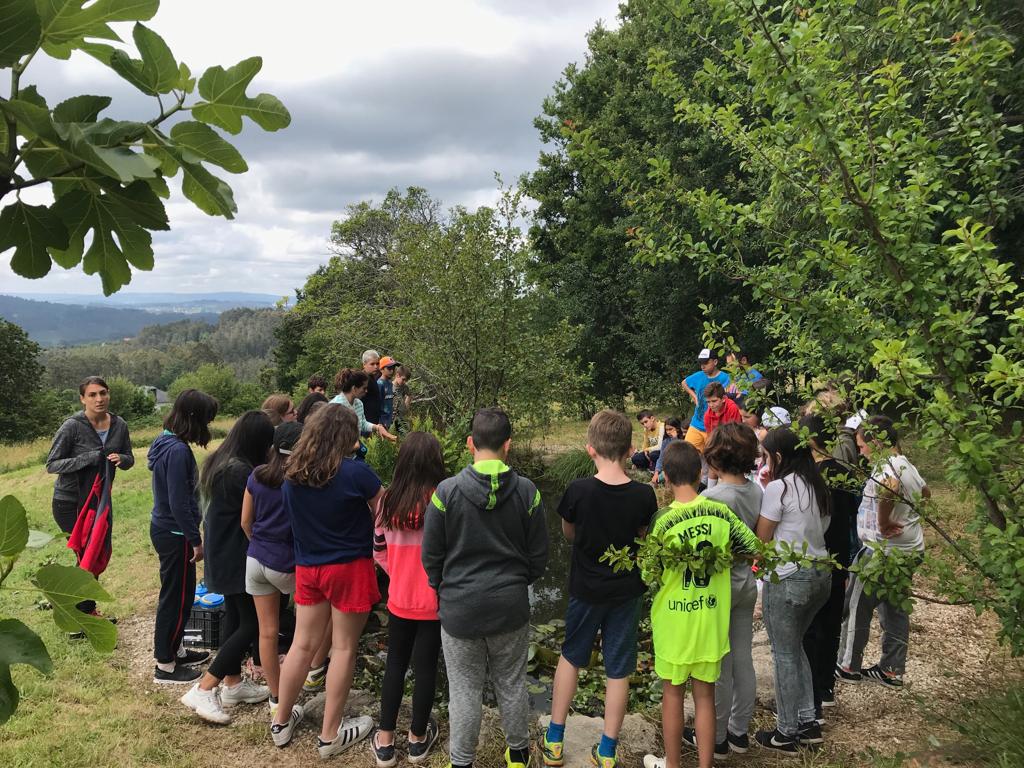 LaSalleFerrol's tweet photo. Facendo actividades na Charca de #Alvarella: collendo tritóns, observando as plantas acuáticas, vendo os zapateros...#ExcursiónFinDeCurso https://t.co/o3b7urxLqV