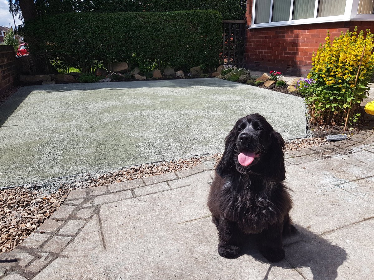@namgrass our new apprentice Sherlock 🐶 has done an excellent job of prepping our latest install ! What do you think Namgrass .. #namgrass #madeforliving #namgrasslife