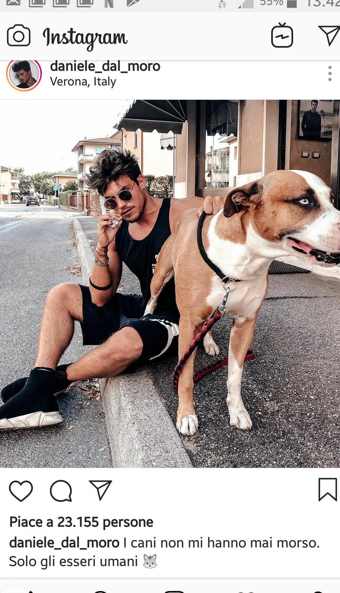 ThisManIsNo1's tweet photo. Non so se sia un'allusione... (#anchesi ๐) ma quanto ha ragione!
E che bel cagnone ๐
#daniele #gf16 https://t.co/CzYSh295wa