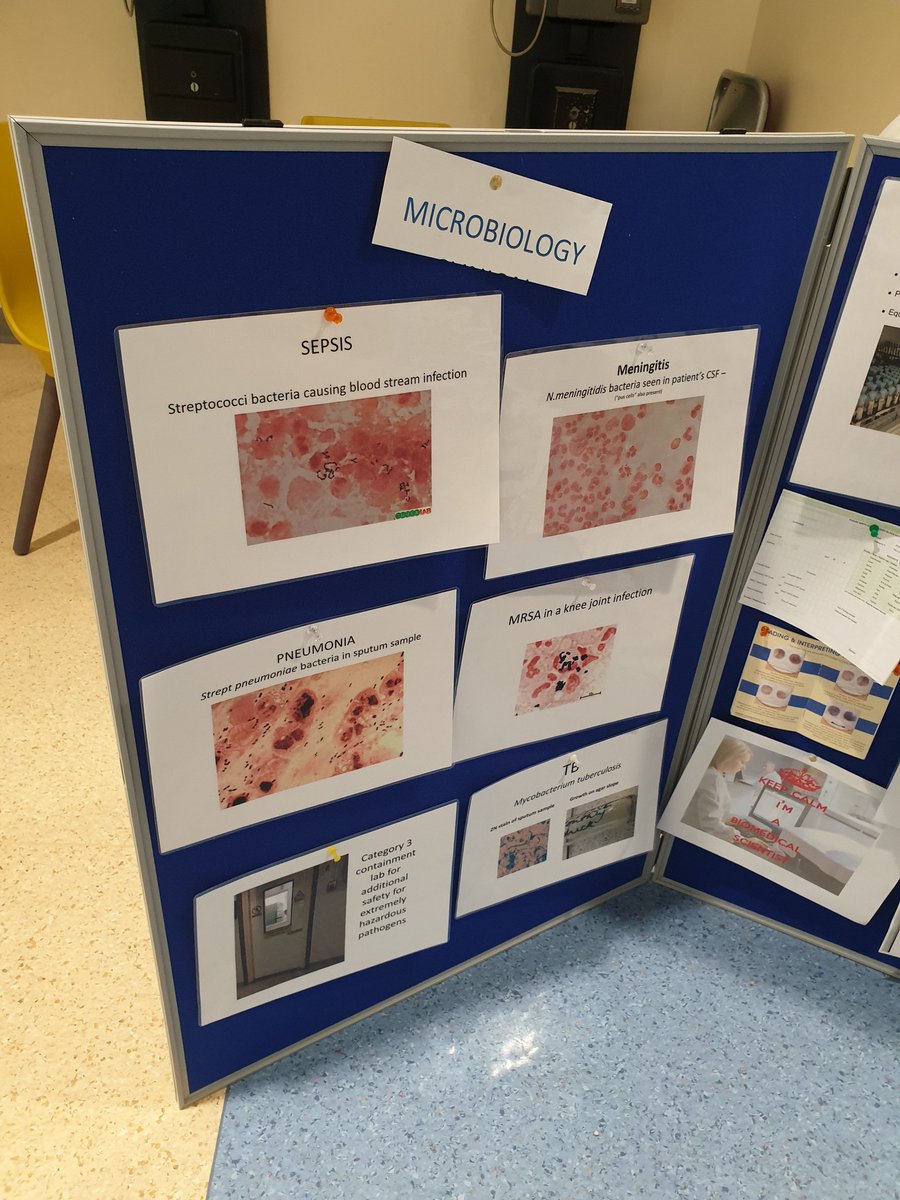 RedPixieDust1's tweet photo. Biomedical Science Day showing all 4 disciplines to public and staff @SouthernHSCT @clairemegarity #BMSDay #BiomedicalScienceDay2019 https://t.co/QzpHdOkFLn