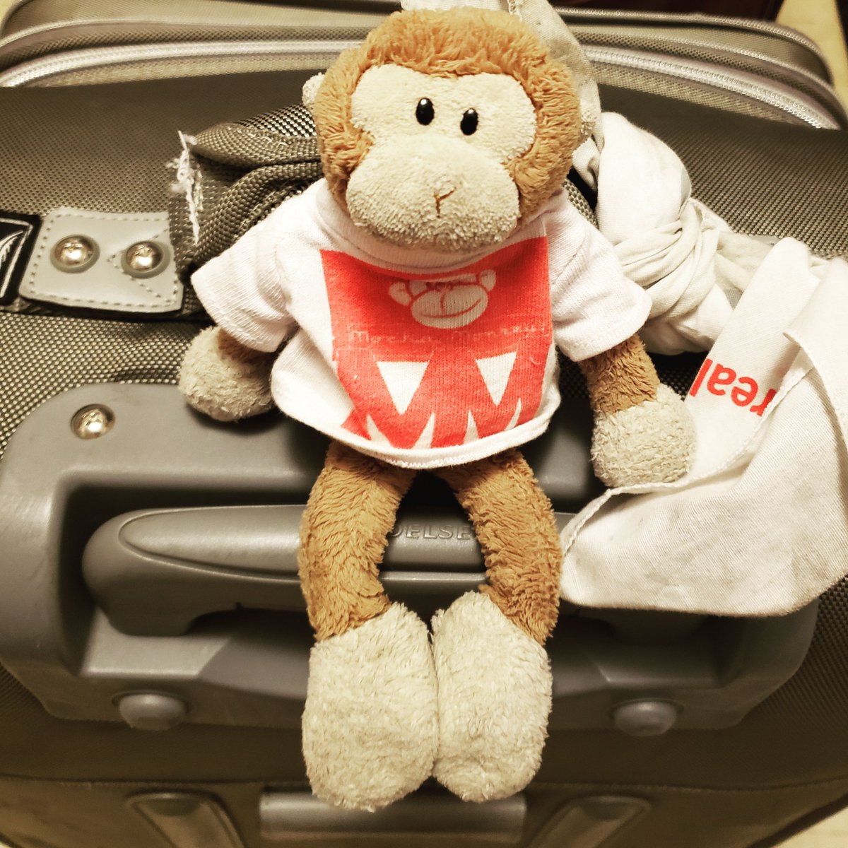 TravelingMocha's tweet photo. On my way again. #MonkeyBusiness #jetsetter #MootMonkey #trothmoot https://t.co/k0M94VLyXI
