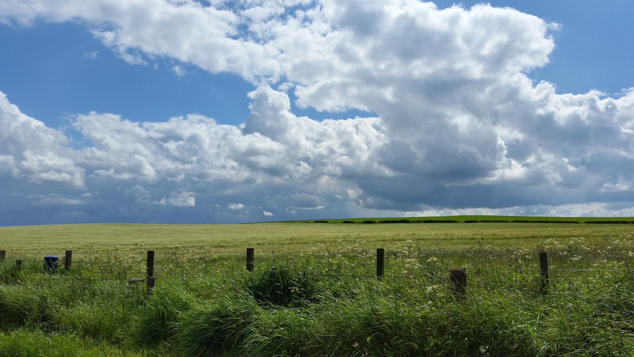 AMDE Carpet Cleaning (AMDEcarpetclean) / Twitter