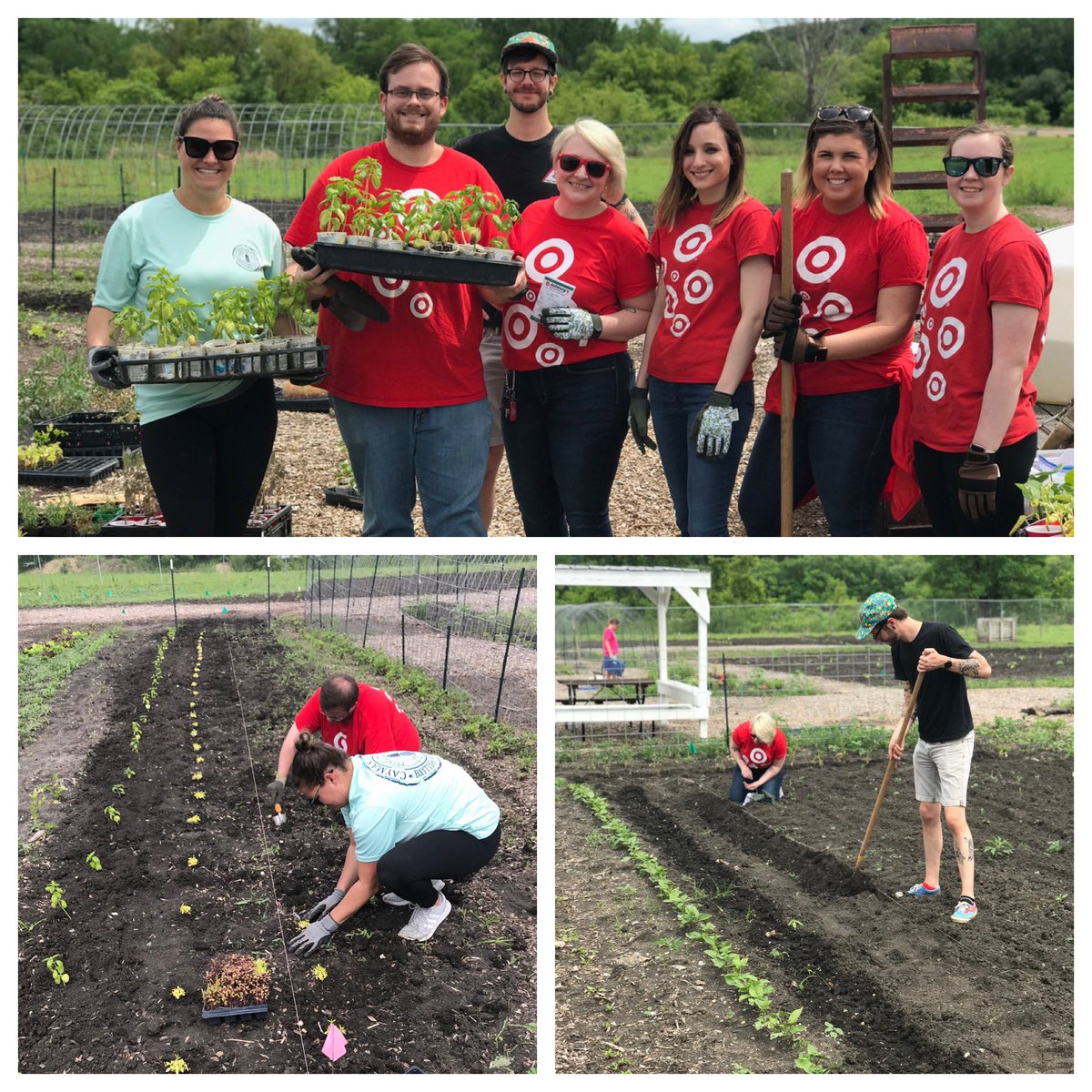We had so much fun at the Mankato Community Garden this week for #MonthOfGiving. The food we helped plant will be donated to CADA, Theresa House and local school programs to help feed families &amp; kids in need! #worksomewhereyoulove ❤️ @lindsayholicky <a href="/ReAnnWilson/">ReAnn Hudson</a>