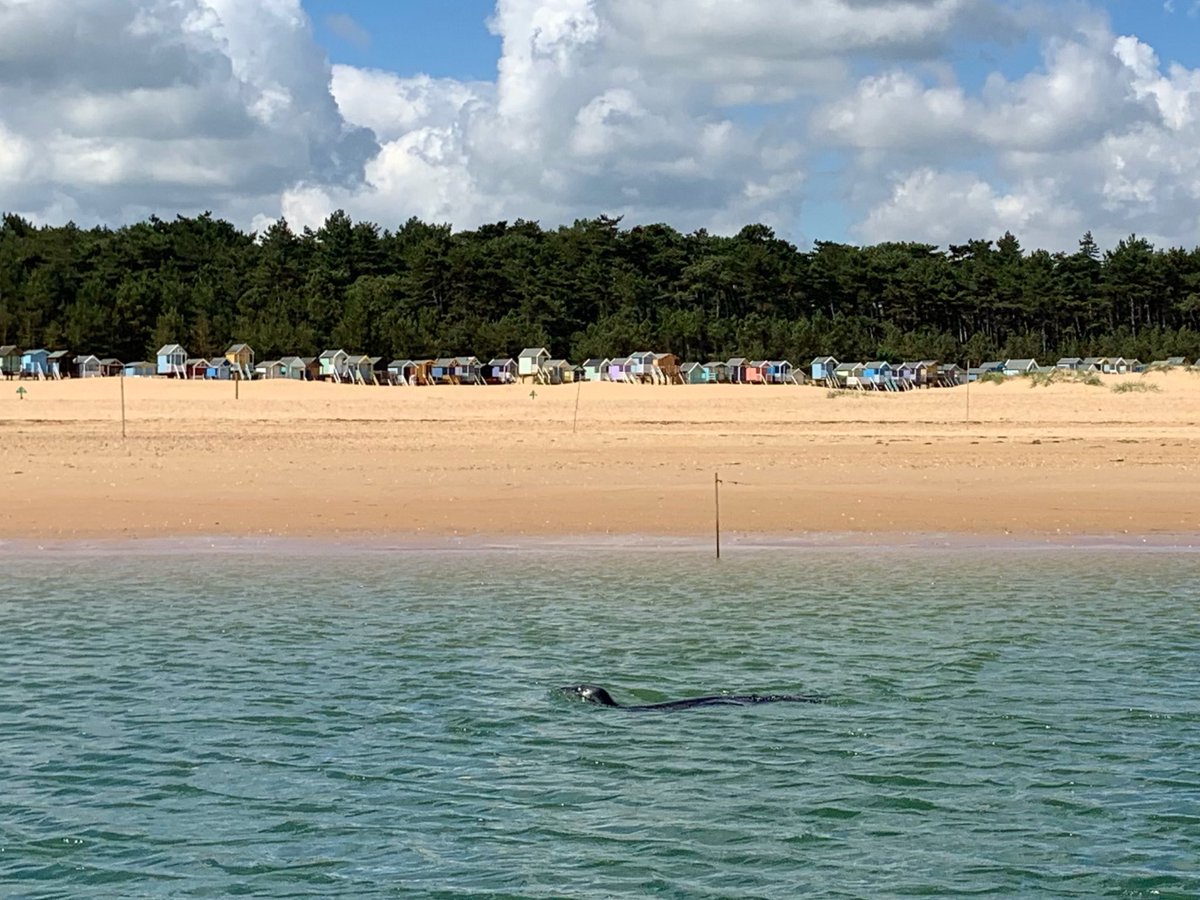 Wells Harbour Tours tweet media