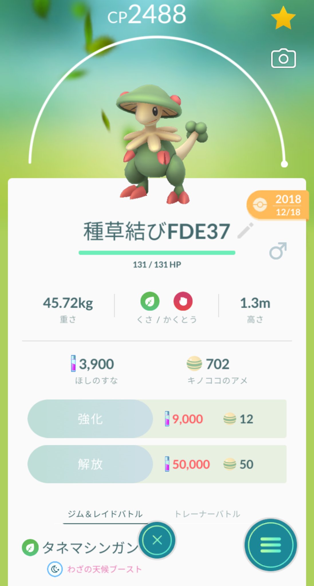 ひろリーン ギネス挑戦中 グラカイ用に育成したキノガッサ君だけど カイオーガのたきのぼり数発からのドロポンで消し飛んだのを見て改めて耐久の無さを痛感したよね ドロポンと吹雪のかわす練習しますか T Co Pl0gzxco4i Twitter