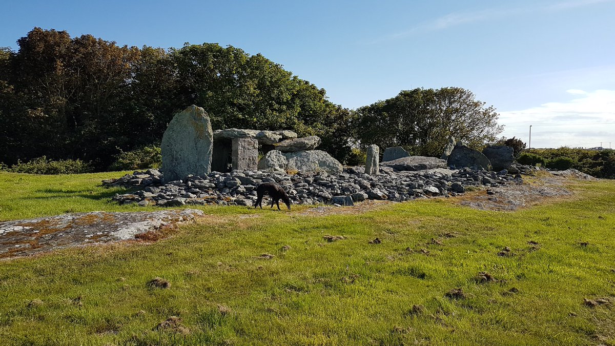 KimIannucci's tweet photo. #trefignath #neolithic never bored of visited here https://t.co/hxDJCMoL6I