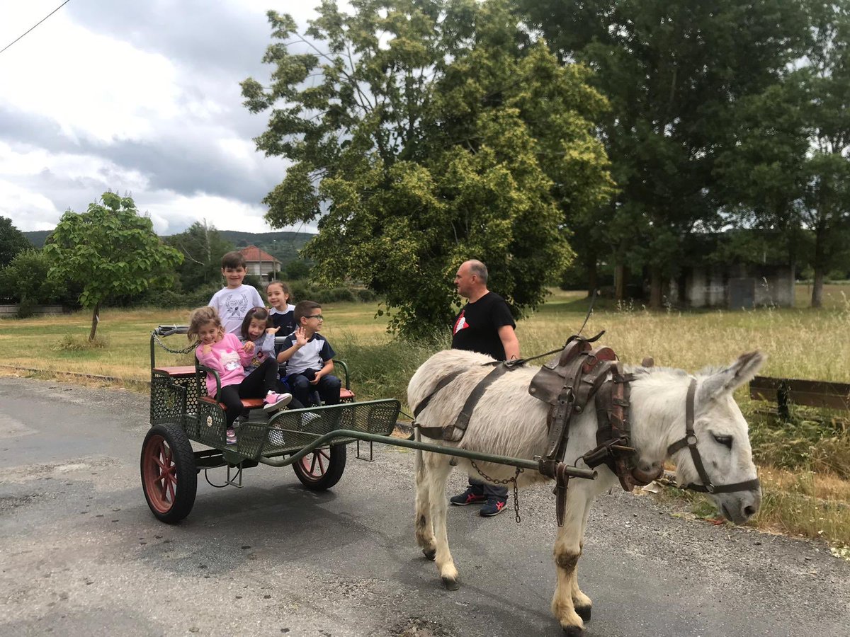 maristasourense's tweet image. O Mundil e Lodoselo acollen aos nosos pequechos de 3 e non tan pequechos de 5 anos. #excursionesfindecurso #somosmaristas
