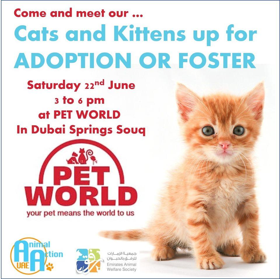 Animal Action UAE on Twitter: Animal Action UAE on Twitter: