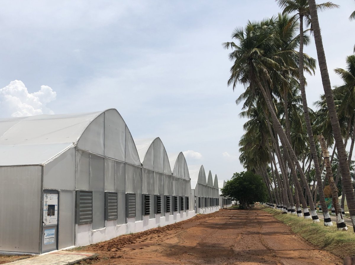 DanAlluf's tweet image. In the last two days we conducted a joint 🇮🇳🇮🇱 conference to define the way forward of the #IIAP, led by Secretary Agriculture GOI Ambassador of 🇮🇱 &amp;amp; Head of MASHAV. Action item: growing from centers of Excellence to Areas of Excellence. @IsraelinIndia @MASHAVisrael