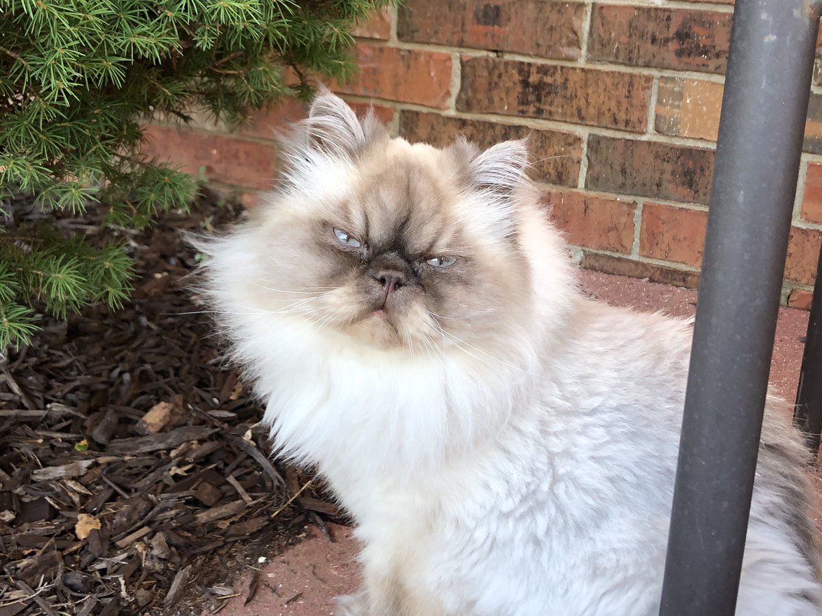 gcloeck's tweet photo. I’m not grumpy today, that’s just my face. https://t.co/lSCTOIbiRI
