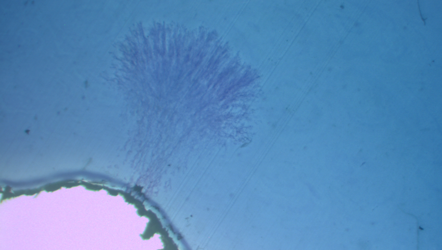 Cable_Q's tweet photo. Water tree: tiny tree-shaped channel of moisture that contains ionic impurities. They speed up the aging process of cables as they continue to grow &amp;can turn into electrical trees if the cable is subject to high voltages. More info &amp;how to detect them at https://t.co/zBNJhVZSkf https://t.co/wtV4v0K8Mn