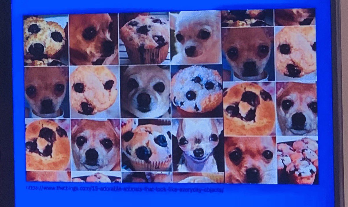 melltstone's tweet photo. Some good news for the tech sceptics: mashines still have more trouble to differ between a dog and a muffin than us ;) Interesting Talk by @tgau and congrats to @12HRSUS for the great event! It was a pleasure being a small part of it! #12HRSUS19 https://t.co/nslL8kXdJG