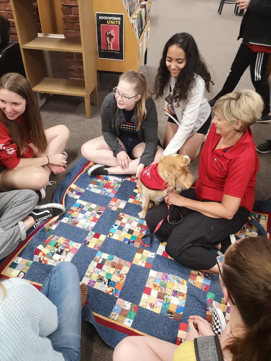 BCentralLibrary's tweet photo. The start of exams means that #BarkBreak is back! Today we were lucky to have Macy, Charlie, Whilie and Miracle visit us. @BCentralSchool @JanetJJardine @SJAOntario https://t.co/FJcvbDoDay