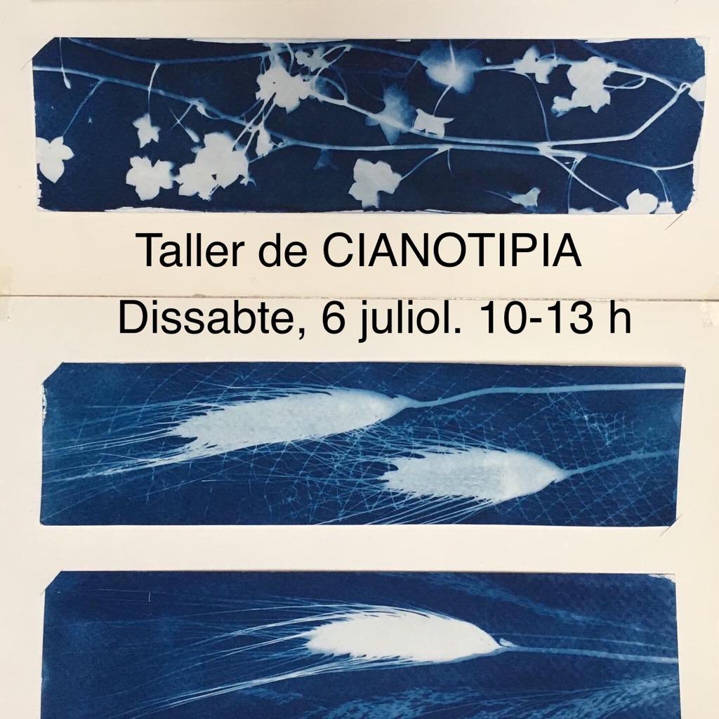 Tècnica antiga de positivat fotogràfic. Amb Sònia Giravent. Últimes places disponibles!
#ravalstaller #sabadell #cianotipia #tecnicaantigafotografia #estampacioartesanal #artsioficis #fotografia