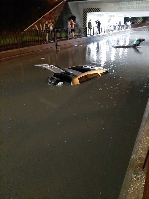 View image on Twitter