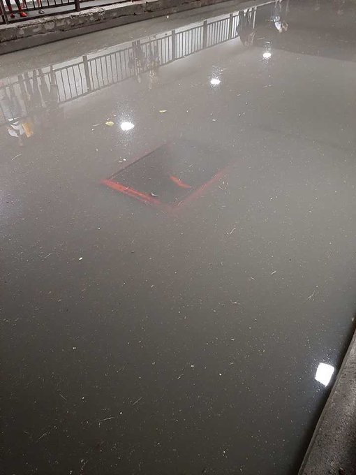 View image on Twitter